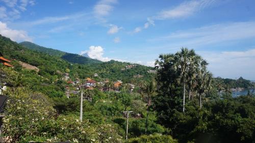 Amed Hotel | Bayu Hotel Lipah Beach