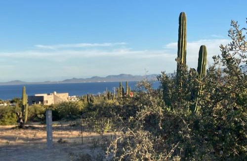 El Sargento Other | BCS Buena onda sea view bell tent