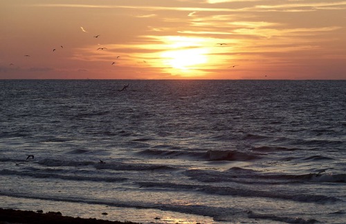 Port Bolivar House | Beach and Bird Watcher Paradise. Fully renovated 1972 Caveman Camper