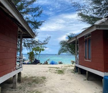 Pulau Perhentian Besar Hotel | Beach Chalet - Fauna Teluk Dalam