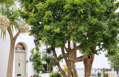 Eastbourne Cottage | Beach Cottage Pet Friendly