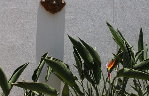 La Penita de Jaltemba Apartment | BEACH FRONT APARTMENTS