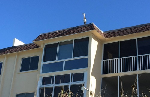 Siesta Key Condo | Beach Front Property, Turtle Beach