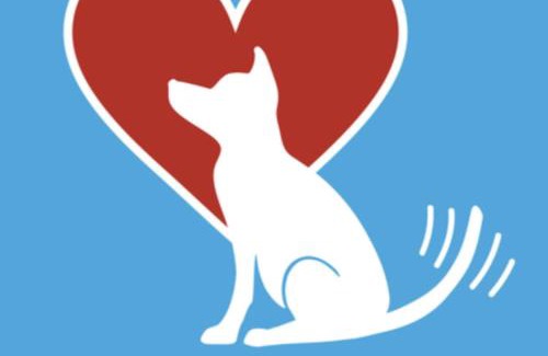 Anderby Creek House | Beach House - Dog Friendly Anderby Creek