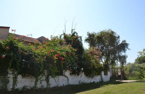 Kanali House | Beach House Into the Green!