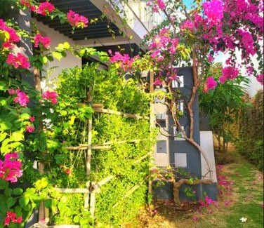 Long Hai Villa | Beach Oceanami Villa