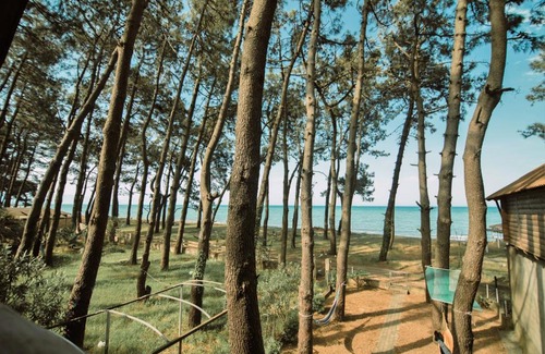 Guria House | Beach View House