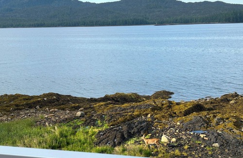 Ketchikan House | Beachfront 3 bedroom + loft, huge deck house. 2 bath, WiFi, barbecue, privacy!