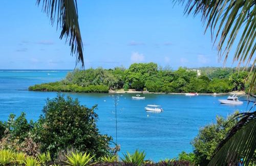 Trou d'Eau Douce Apartment | Beachfront Appartment
