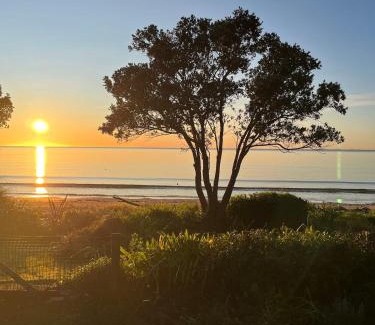 Parapara House | Beachfront Bliss - Your Parapara Seaside Retreat