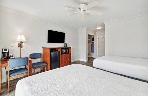 Neptune Beach Hotel | Beachfront Delight: Two Pet-Friendly Rooms with Outdoor Swimming Pool