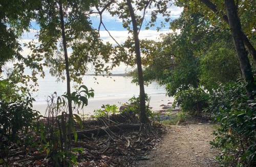 Oak Beach Villa | Beachfront Dolphin Cabin