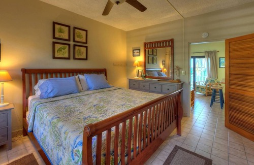 Frederiksted Condo | Beachfront Pink Condo #8