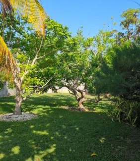 Crane corner Villa | Beachscape At Black River Ethlyn by the sea
