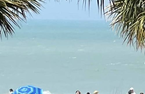 Indian Rocks Beach Condo | Beachside Dreams-Pet Friendly Condo 25yds from beach w heated pool, 2 parking sp