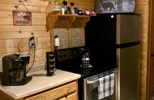 Pipestem Cabin | Bear Claw Cove #2 Pet Friendly/HotTub/Bicycles/Kayaks