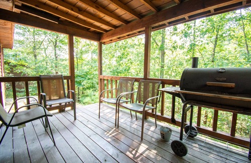 Board Camp Cabin | Bear Den|18Acres|Private Creek|Swim|Hiking|ATV Trails|Mtn Cabin