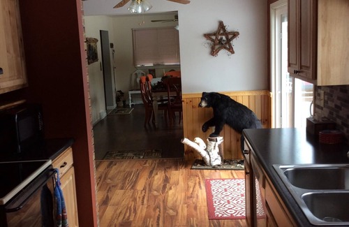 Kalkaska Villa | Bear Lake get away near Kalaskla MI