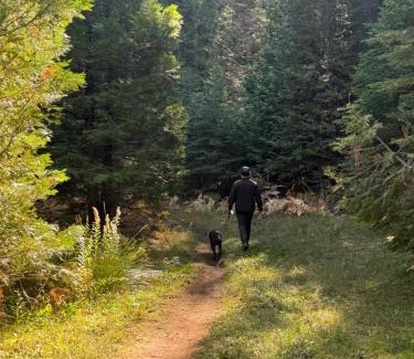 Sierra Cedars House | Bear Meadow Cabin at Shaver Lake