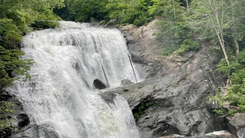 Tellico Plains House | Bearadise On Tellico River