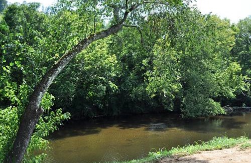 Tellico Plains House | Bearadise On Tellico River