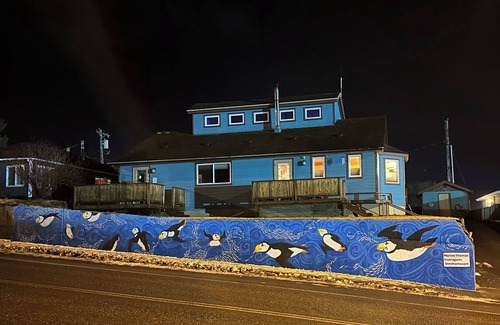 Kodiak Apartment | BEARS, BIRDS, AND WHALESnA Room with a Car