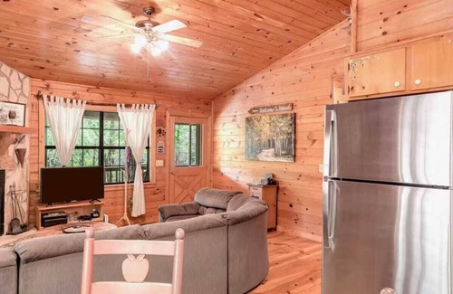 Blue Ridge Cabin | Beary Relaxing on Cherry Log Mountain
