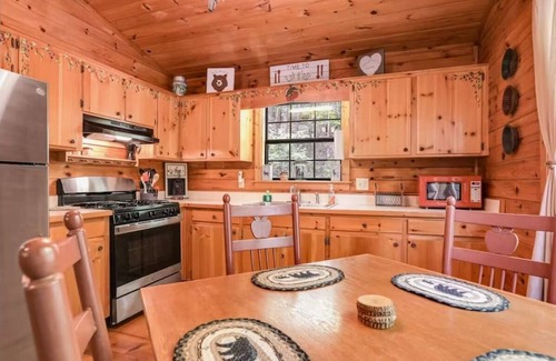 Blue Ridge Cabin | Beary Relaxing on Cherry Log Mountain