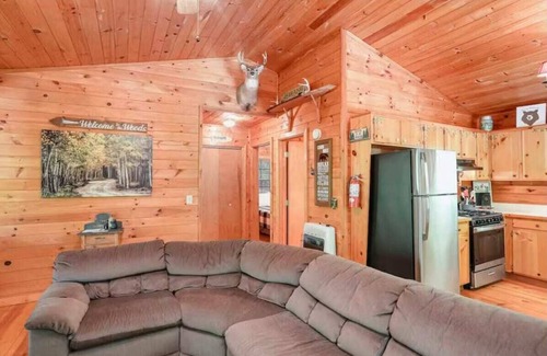 Blue Ridge Cabin | Beary Relaxing on Cherry Log Mountain
