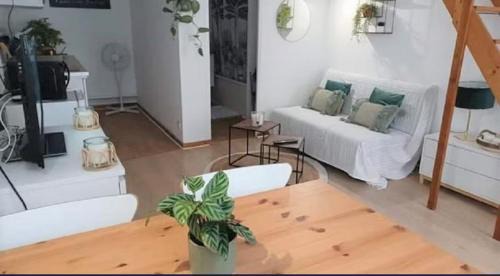 Miroir - Batignolles Apartment | Beau duplex à la gare du Mans