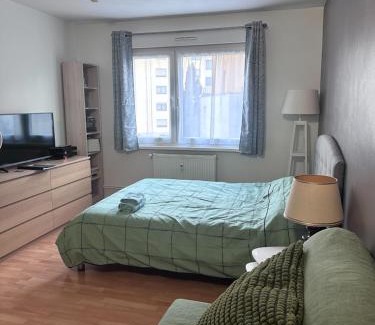 Illkirch-Graffenstaden Apartment | Beau studio proche Strasbourg