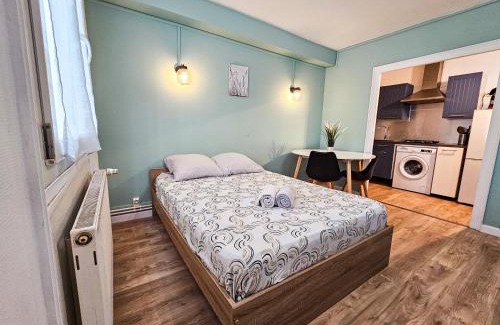 Saint-Etienne Apartment | Beau T1 2 personnes BERGSON