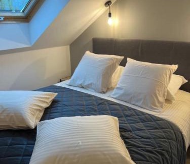 Levernois Apartment | Beaune Levernois, appartement 1 chambre canapé lit