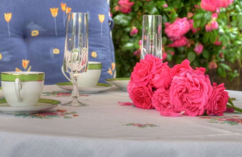Schieder-Schwalenberg Apartment | Beautiful apartment for 2 guests with WIFI, TV, terrace, pets allowed and parking