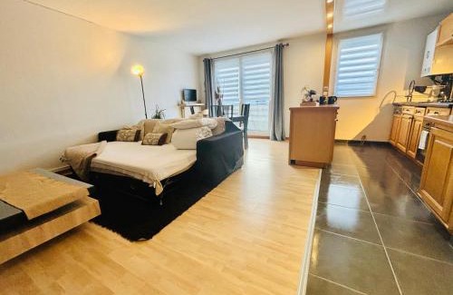 Torcy-le-Grand Apartment | Beautiful Apartment Disneyland