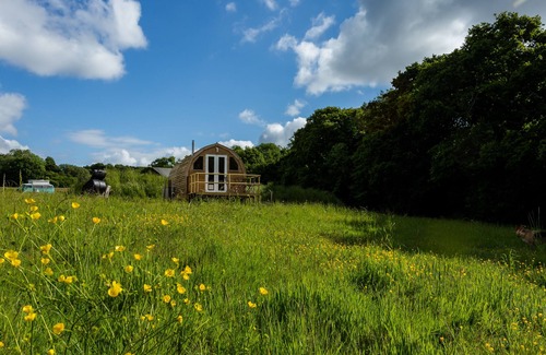 Crowhurst Cabin | Beautiful 1 bed Glamping pod in Battle