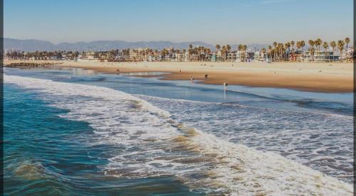 Del Rey Apartment | Beautiful 1BD apartment