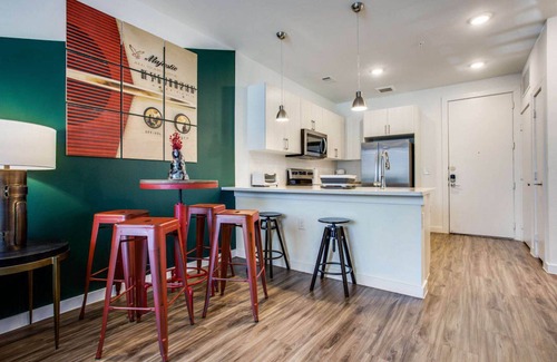 Riverside Apartment | Beautiful 1BR in Riverside Austin 3958