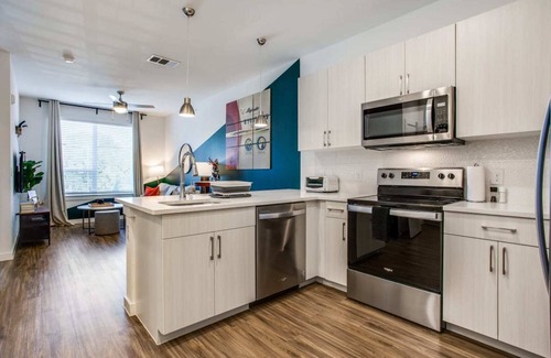 East Riverside - Oltorf Apartment | Beautiful 1BR in Riverside 6833