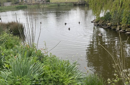 Grewelthorpe Cottage | Beautiful 2-Bed Cottage in Grewelthorpe , Masham