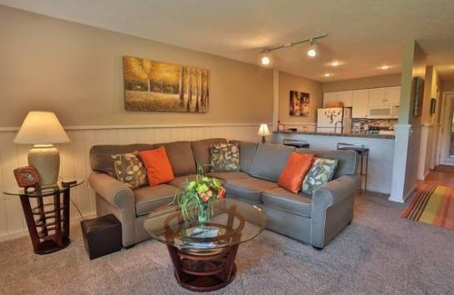 Harbor Springs Condo | Beautiful 2 Bedroom 2 Bath Trout Creek Condo #68. Stone Fireplace, Kitchen. Close to Skiing and Golf