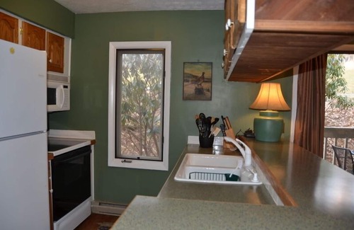 Nellysford Condo | Beautiful 2BR/2BA - DOG FRIENDLY - Great LOW Rates