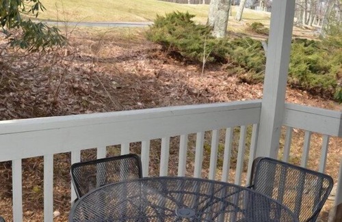 Nellysford Condo | Beautiful 2BR/2BA - DOG FRIENDLY - Great LOW Rates