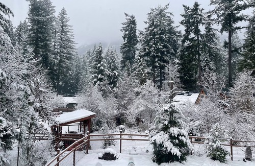 Packwood Cabin | Beautiful 3bd Cabin! River&Mountain Views w/Game Room*Near Mt Rainier! Pets OK!