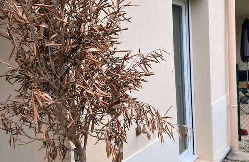 Bussy-Saint-Georges Apartment | Beautiful apartment with terrace and garden