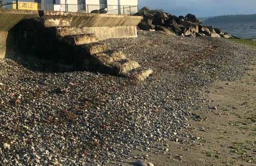Alki Cottage | BEAUTIFUL ALKI BEACH COTTAGE 1/2 BLOCK TO BEACH 2 BR + 2 BATH