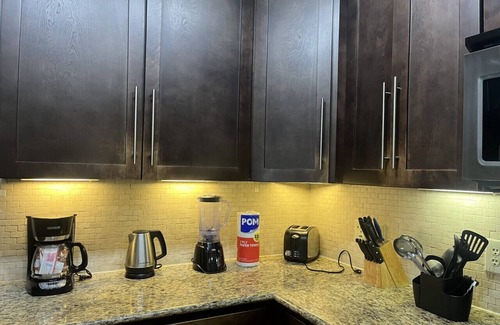Texas Medical Center Apartment | Beautiful and Spacious Apartment by Texas Medical Center