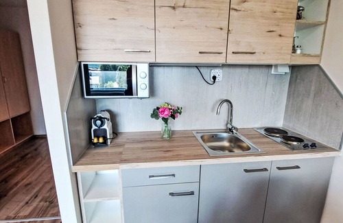 Strobl Apartment | Beautiful apartment for 3 guests with WIFI, TV and balcony