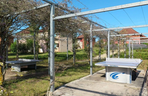 Prayssac Apartment | Beautiful apartment for 3 guests with WIFI, pool, TV, terrace, pets allowed and parking