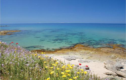 Costa Rei Apartment | Beautiful Apartment In Costa Rei -Ca-